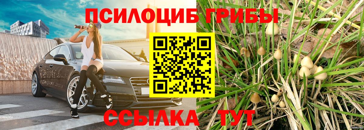 ГАШ  Вход с VPN  КЕТАМИН  Ишимбай  ГАШ  Меф МЯУ МЯУ кристаллы  Марихуана  A-PVP СК   COCAIN 