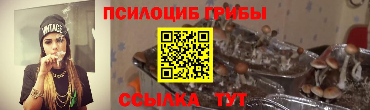 Псилоцибиновые грибы ЛСД  Вход с VPN  Ишимбай 