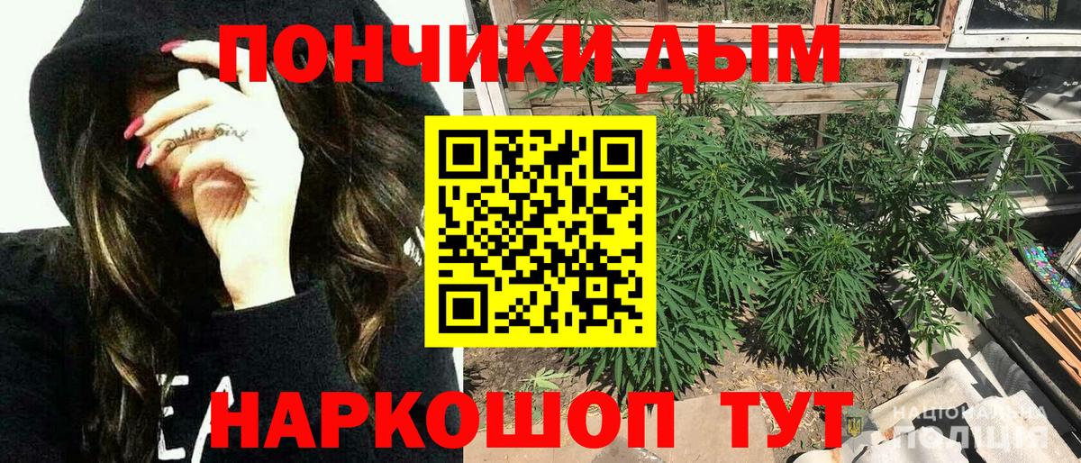 Бошки марихуана сатива Ишимбай